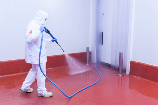 Best Patio and Deck Pressure Washing  in Oakland, CA